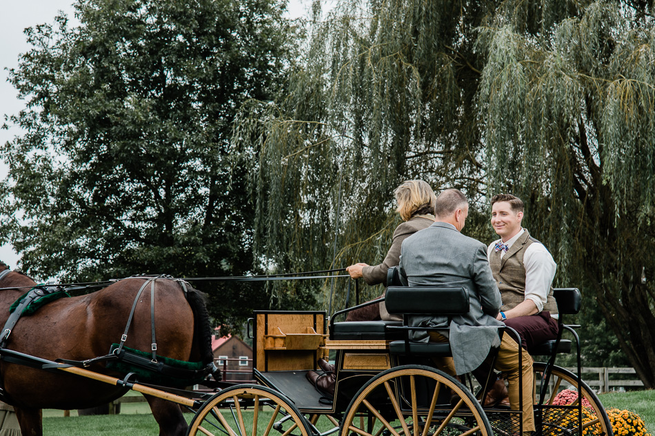Horse and Carriage Wedding