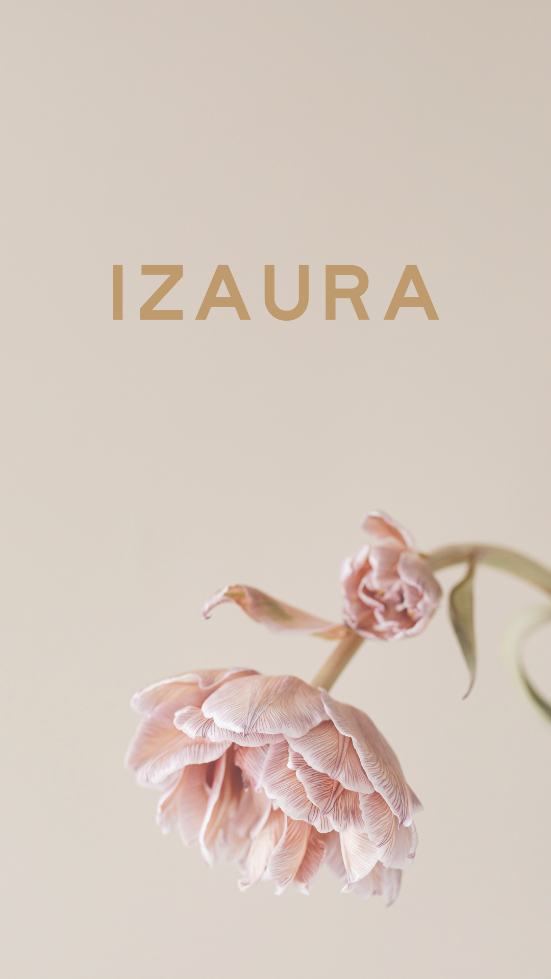 Izaura Events