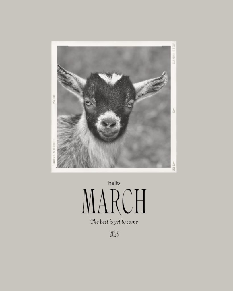 March Inspiration